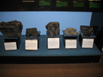 Coal varieties in the visitor's center museum