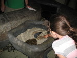 Kailyn at the tidepool touch tanks