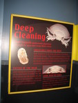 They have a sign up about these guys now -- they're called giant isopods.
