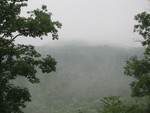 We're living up in the clouds today!