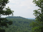 June 5: The view off to the south now that the dead trees and pines are down in that area. I'm torn by whether to take out a few more trees to the right of this gap to make a larger gap that would let us look down the valley -- it'd be a lovely view, but on the other hand I hate to take down good, healthy trees.