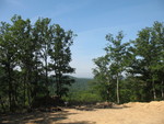 The tree gap and hive, viewed from the east deck area