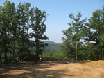 The back yard, again