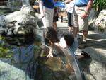Chattanooga Aquarium.  Kailyn feeding the stingrays -- they have little shrimp they give you to feed them now, if you want