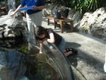They kept coming even after her shrimp was gone, I suppose because her hand still smelled like it