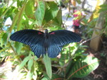 IMG 8941