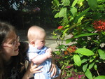 IMG 8952