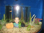 IMG 8982