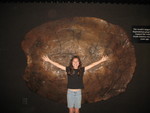 Kailyn and the giant turtle shell