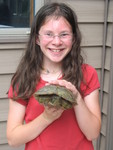 June 26: Kailyn with the map turtle we rescued out of the road. We relocated him to a nearby pond.
