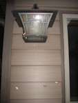 Mom, Dad, and Connor arrived very late at night, so we had left a light on for them, and it attracted several gorgeous moths.