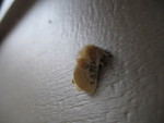 IMG 9017