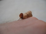 IMG 9020