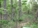 Area where we're considering putting the kids' playhouse