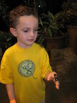 Connor with butterflies