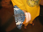 Really beautiful blue with spots