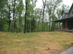 Home again -- all this rain has really jump-started our freshly sprouting grass!