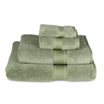 May 22: Decorating decisions. These towels are unbelievably soft and cushy, and they're on clearance sale currently.   Bamboo color