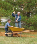 Putting them in the wheelbarrow