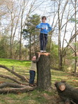 Saturday, November 25: The kids on the willow stump