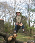 Little logger