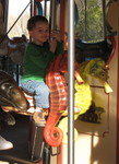 Connor on the seahorses