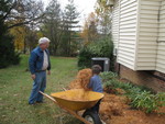 Connor unloading the needles. He did a great job of arranging them around the plants, too.