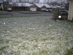 Snow-covered yard