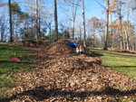 Grandpa made a leaf cave for the kids to play in