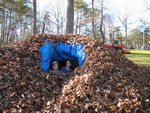 Peeking out for a better pic