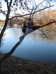 Kids up a tree