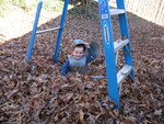 Connor playing in the leaves