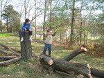 Connor using the log as a balance beam