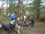 The kids watching while daddy and Uncle Phil use the chainsaw to chop up the tree