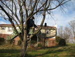 Kailyn in a tree