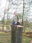 Another cute stump pic