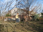Connor climbing in the fallen tree