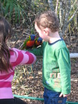 Connor with two lorikeets on his arm