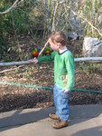 They flew down and landed on him right after we went in