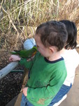 One of Connor's lorikeets is still on his arm