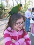 Then it climbed up to sit on her head!