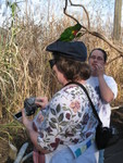 One on Gail's hat
