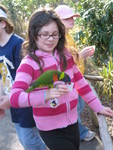 Kailyn feeding another lorikeet. Her sticker says 'I got a treat from a lorikeet' -- one had pooped on her!