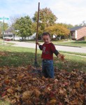 Connor raking leaves