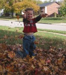 Tossing leaves