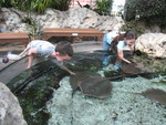 There were a few that especially wanted attention and just kept coming back