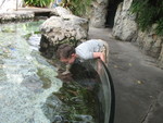 Connor petting a shark
