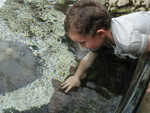 This was another super-friendly critter -- it just stayed right there letting him pet it for quite awhile