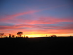 Gorgeous sunset on the way home from church