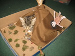 Kailyn got to bring her project home today, and Mittens apparently thought the teepee was just her size